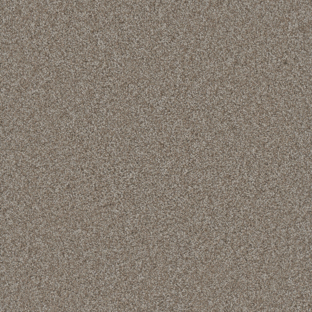 Pure Gold III - Alloy