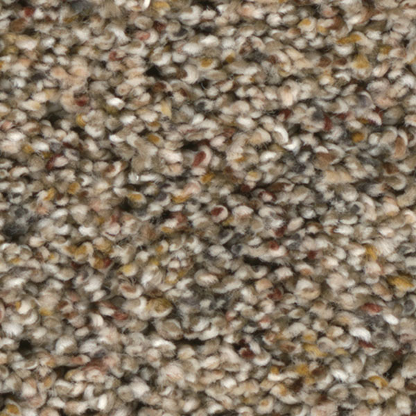 Bourbon Street I - Harmonic Tan