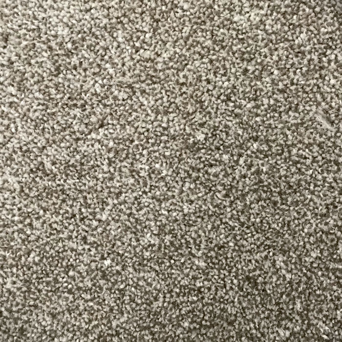 Hallmark 50 - Quail