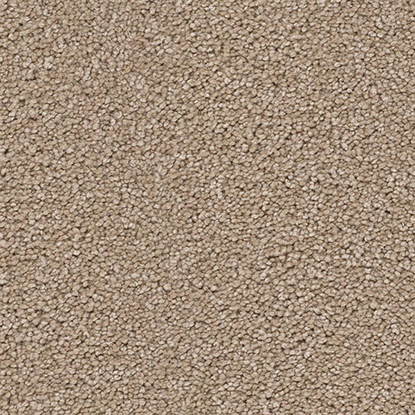 Pacific Heights II - Cashew