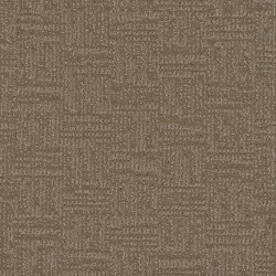 Dusted Bronze