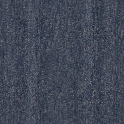Multitude
