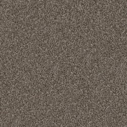 Urban Rustic