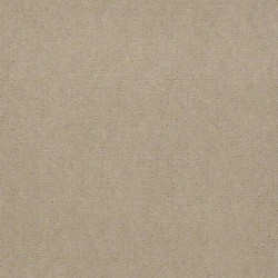 Stone Dust