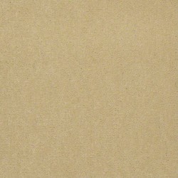 Corn Silk
