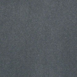 Blue Spruce