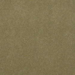 French Olive