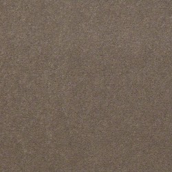 Bashful Taupe