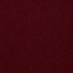 Raspberry