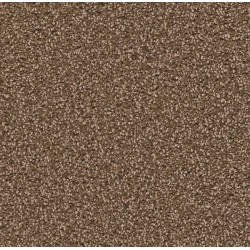 Black Walnut